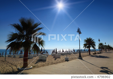 Concrete path with palms on empty sandy beach with folded umbrel 4796902