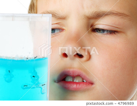 Little boy scrutiny looks into helium aquarium - ant farm - on a 4796989