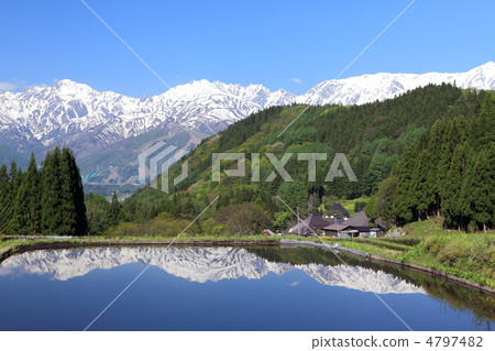 一座雪山和一個新鮮的綠色惡魔社區 4797482