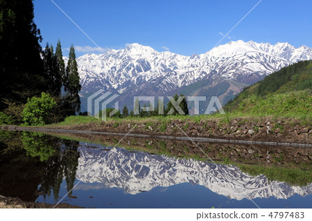 一座雪山和一個新鮮的綠色惡魔社區 4797483