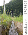 運河 4797697