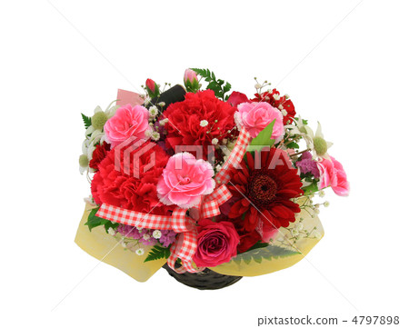 Flower gift [white background] 4797898