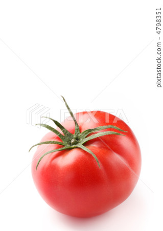 Tomato   4798351
