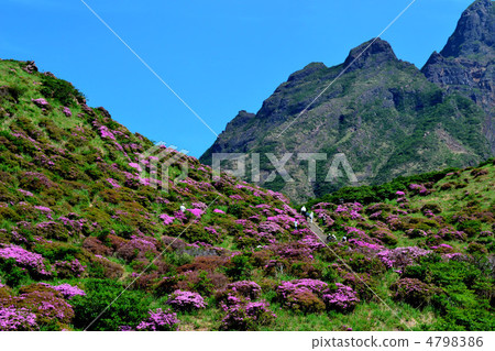 Landscape of the deceased gorge Miyama Kirishima 4798386