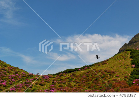 死者峽谷Miyama Kirishima的風景 4798387