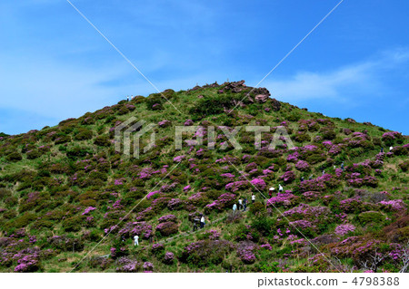 Landscape of the deceased gorge Miyama Kirishima 4798388