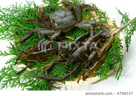 淡水蝦和中華絨螯蟹，綠蝦和mochizukani 4798537