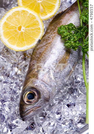 gnomefish，mutsu 4798557