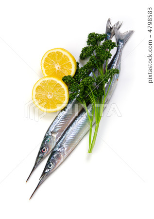 halfbeak, Sayori 4798583