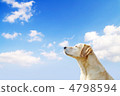 Blue sky and retriever 4798594