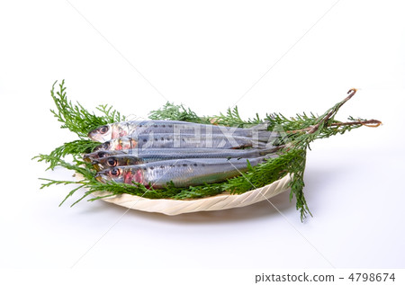 sardine, sardine 4798674