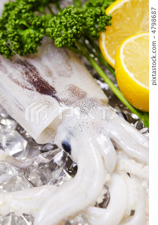 日本常見的魷魚，魷魚 4798687