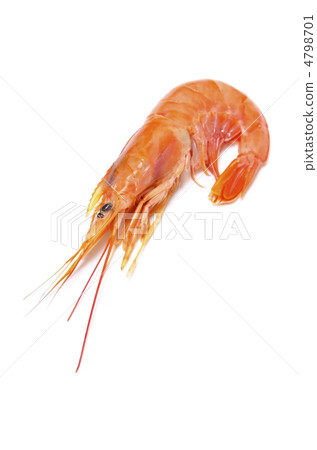 阿根廷紅蝦，蝦 4798701