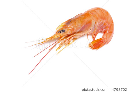 阿根廷紅蝦，蝦 4798702