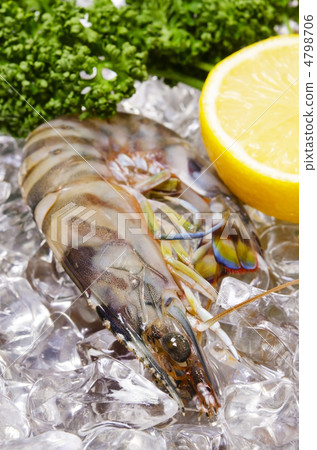 kuruma prawn, car shrimp 4798706