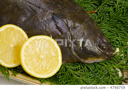比目魚，mako廚房 4798759