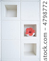 Hibiscus 4798772