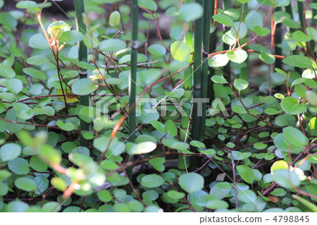 電線廠 電線廠 4798845