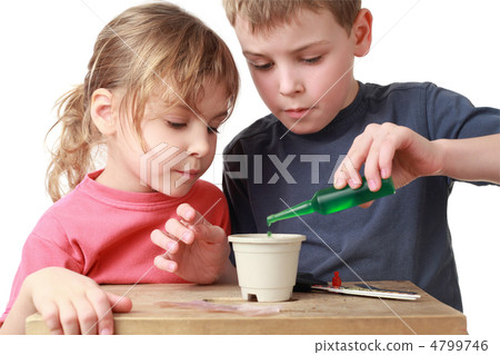 Brother pours  fertilizer on grains, which sowed in  pot  sister 4799746