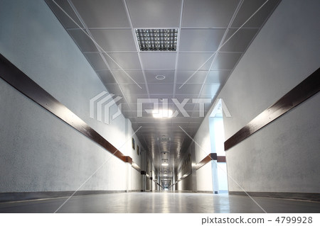 long gray hallway with doors, light at end of corridor, pictures 4799928