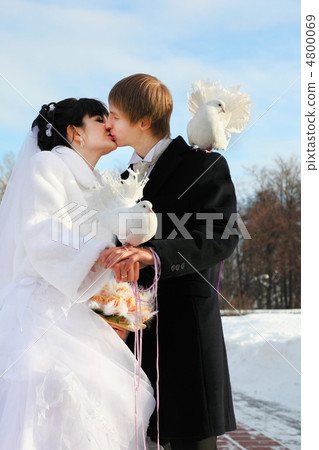 beautiful bride and groom kiss and hold white dove at winter out beautiful bride and groom kiss and hold white dove at winter out 4800069