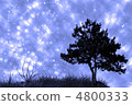 tree and grass on night sky collage 4800333