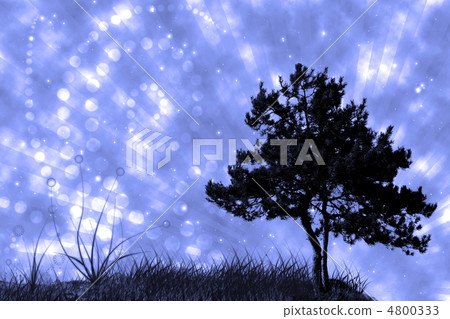 tree and grass on night sky collage tree and grass on night sky collage 4800333