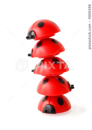 inclined tower made of five red small ladybugs isolated on white inclined tower made of five red small ladybugs isolated on white 4800486