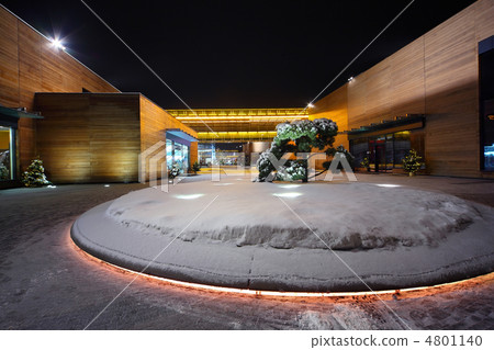 Building of trading complex with flowerbed and fir-tree in cente 4801140