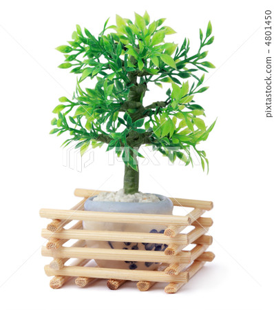 small beautiful toy green tree in pot, wooden sticks, branch wit 4801450