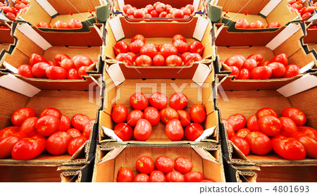 red tomatoes in boxes in large store, rows of boxes with tomatoe red tomatoes in boxes in large store, rows of boxes with tomatoe 4801693