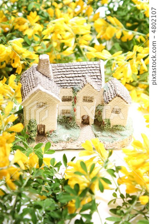 鮮花盛開的鮮花 4802107