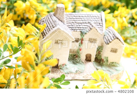 鮮花盛開的鮮花 鮮花盛開的鮮花 4802108