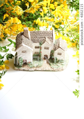 鮮花盛開的鮮花 鮮花盛開的鮮花 4802115