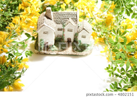 鮮花盛開的鮮花 鮮花盛開的鮮花 4802151