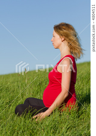 pregnant woman on meadow pregnant woman on meadow 4804511