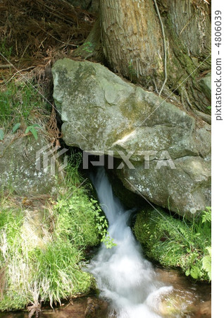 Prime Minister Prime Minister 4806039