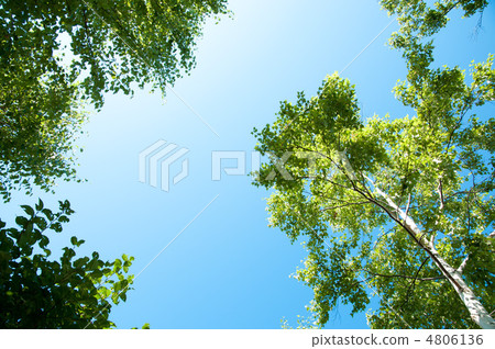 夏天藍天 4806136