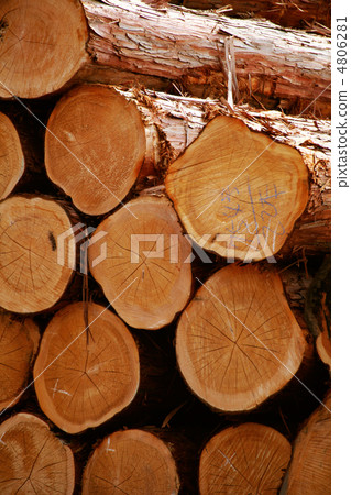 Construction materials storage place Hinoki log 4806281