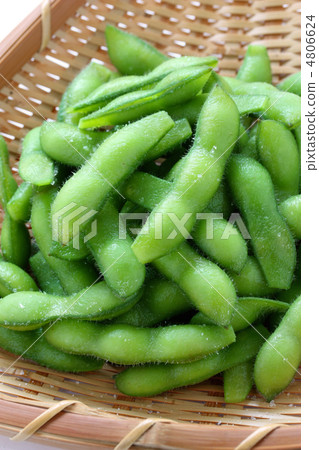 毛豆 毛豆 4806624