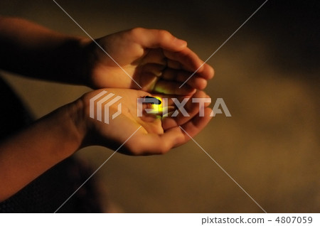 螢火蟲在火中 4807059