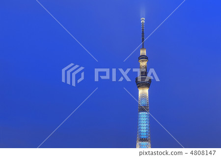 Tokyo Sky Tree Light Up (Chic) 4808147