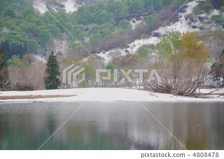 Rainbow Takahara Earu Spring Rainbow Takahara Earu Spring 4808478
