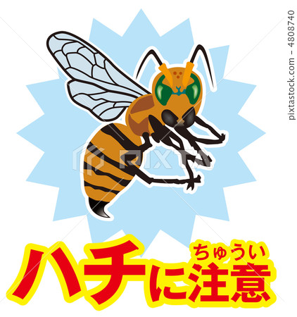 Bee Attention A-15 4808740