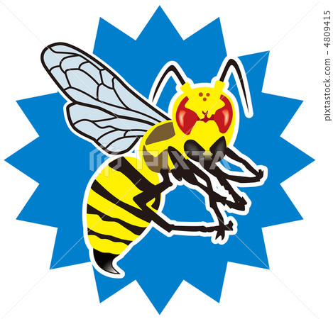 Bee-1 4809415