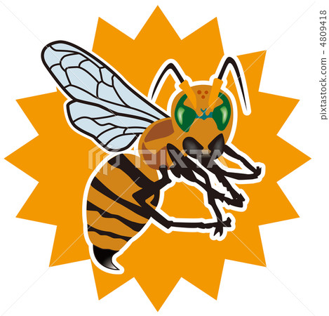 Bee -2 4809418