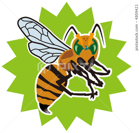 Bee 4 4809421