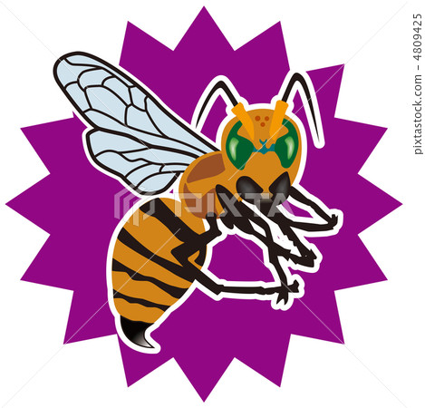 Bee-8 4809425