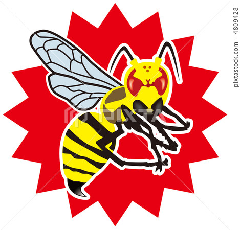 蜜蜂-11 4809428
