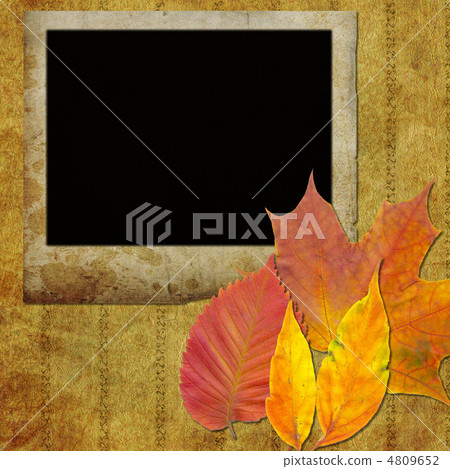 art frame on wallpaper 4809652